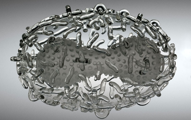 smallpox onlightbox