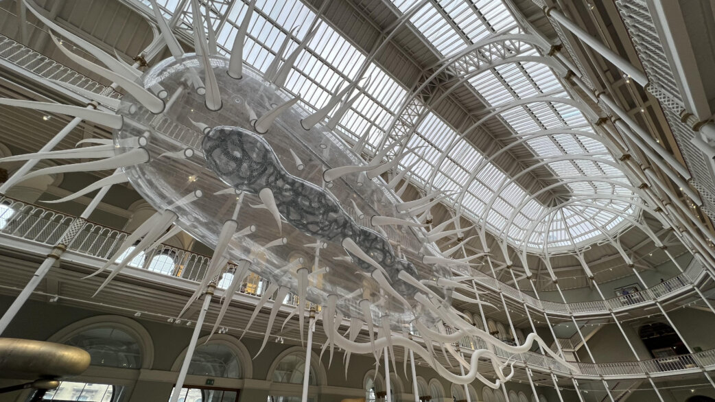 A giant translucent inflatable E.coli sculpture, approximately 30 metres long, suspended beneath the Victorian glass ceiling of the National Museum of Scotland's Grand Gallery.