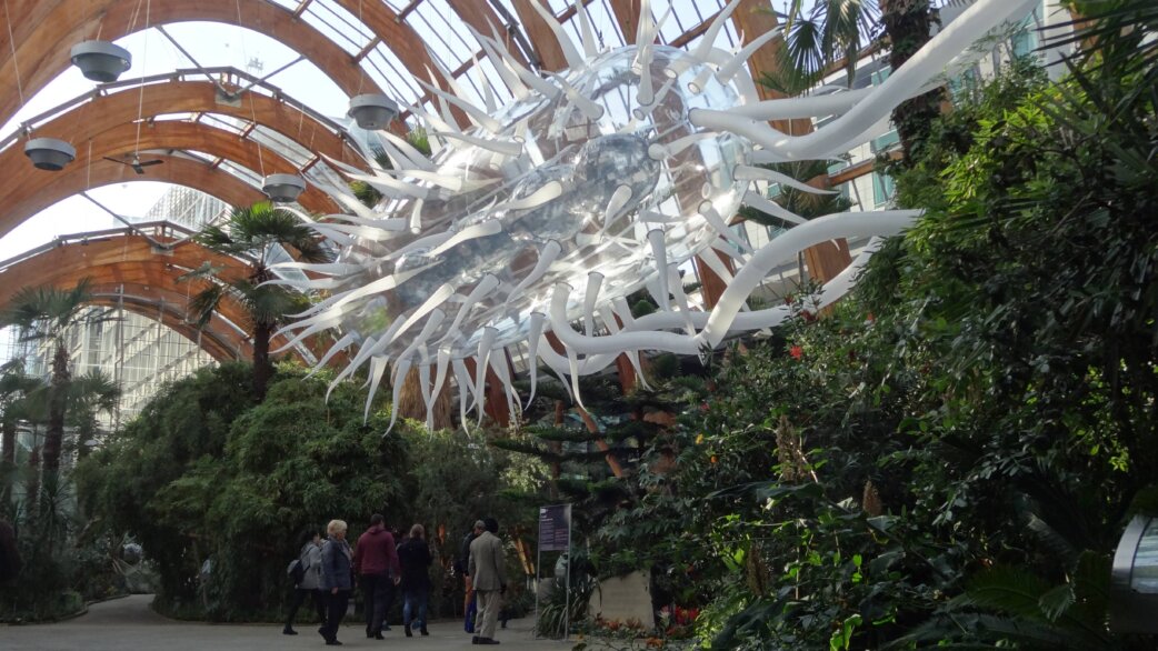 A giant inflatable E.coli sculpture, approximately 30 metres long, suspended from the curved wooden beams of Sheffield Winter Gardens, with visitors walking beneath among tropical plants.