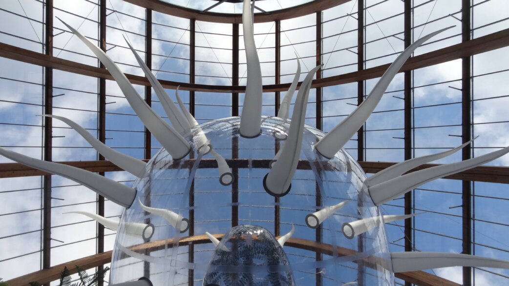 A giant inflatable E. coli sculpture with a translucent spherical body and white elongated flagella, displayed inside the glass-domed Sheffield Winter Gardens, approximately 30 metres long.
