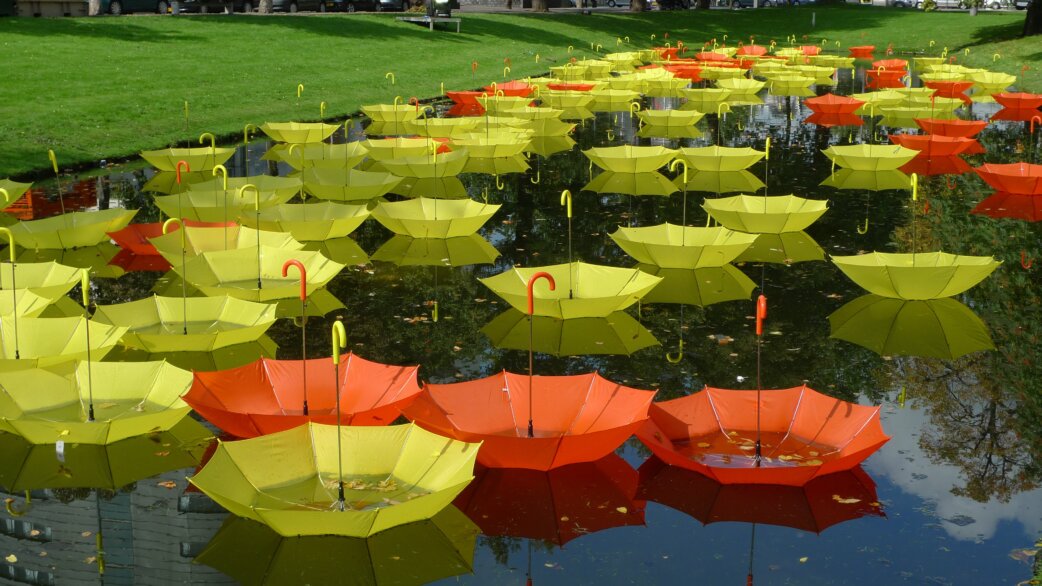 Dozens of bright yellow and orange umbrellas floating upside-down on a canal, their handles pointing upward, creating a striking reflection on the dark water surface.