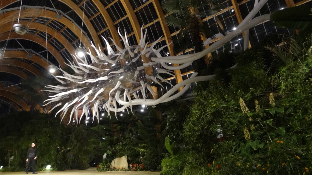 A 30-metre inflatable E.coli sculpture with elongated flagella suspended inside Sheffield Winter Gardens' glass-roofed atrium, with tropical plants and a visitor visible below.