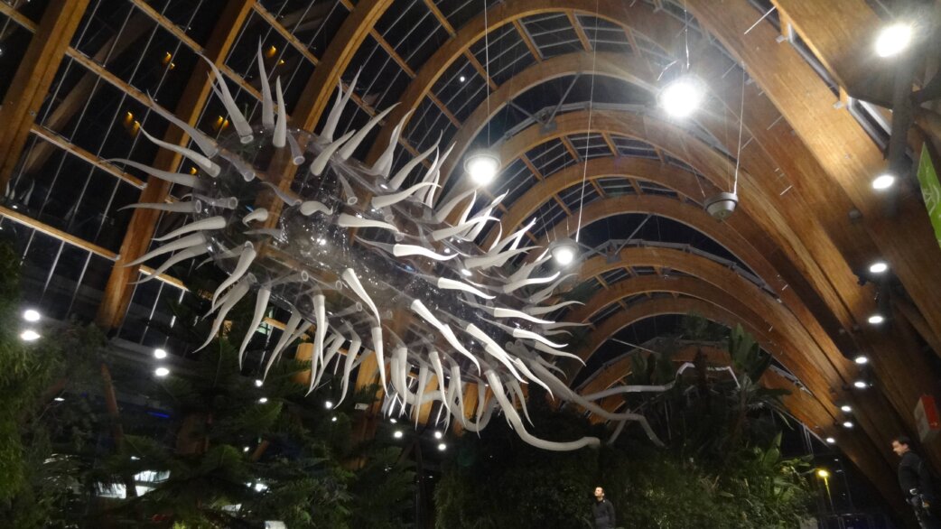A 30-metre white inflatable E.coli sculpture with numerous elongated flagella suspended from the curved wooden beams of Sheffield Winter Gardens, dwarfing visitors below among tropical plants.