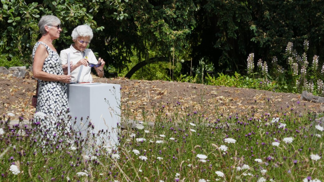 Two visitors examine a white pedestal sculpture in a wildflower meadow at the University of Bristol Botanic Garden, surrounded by purple and white flowers with trees in the background.