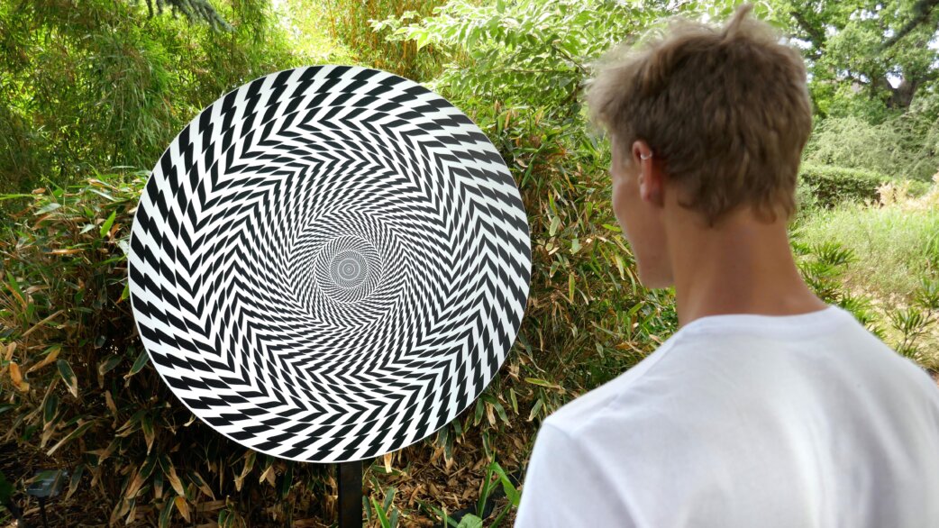 A person views a circular black and white optical illusion disc, approximately 60cm in diameter, mounted outdoors among green foliage at the University of Bristol Botanic Garden.