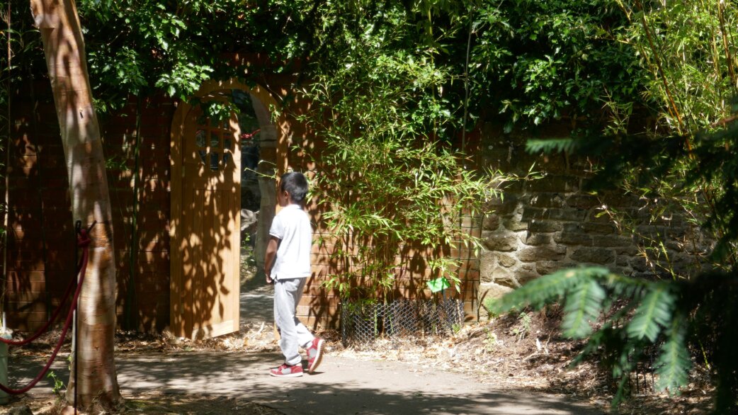 A child in white clothing walks through a wooden arched gateway in a sunlit garden setting, surrounded by lush green bamboo and trees at the University of Bristol Botanic Garden.