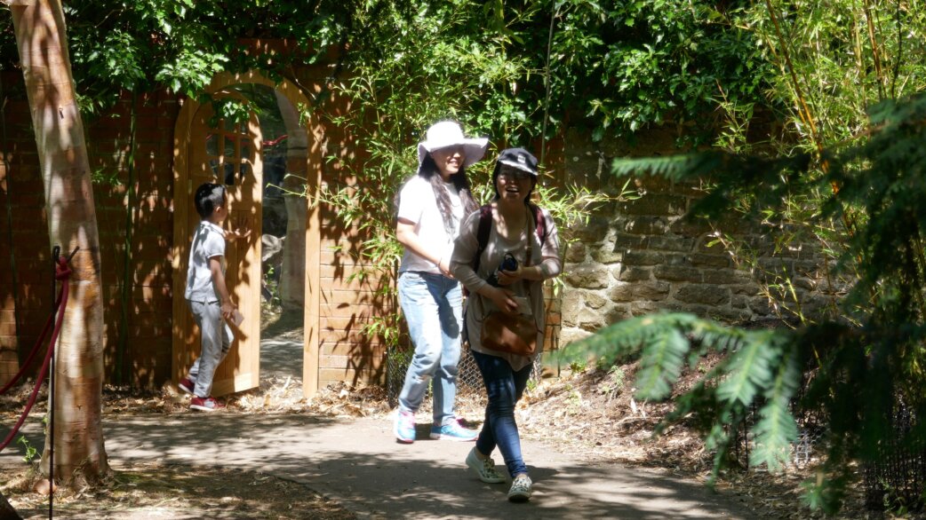 Visitors walking through a sunny garden path, entering through an arched wooden gate surrounded by lush green foliage at the University of Bristol Botanic Garden.