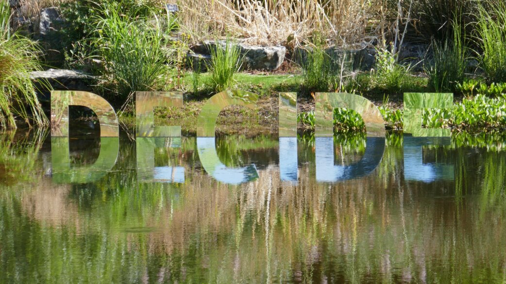 Mirrored letters spelling "DECIDE" positioned at the edge of a pond, reflecting the surrounding vegetation and sky, creating a camouflaged optical illusion within a botanical garden setting.
