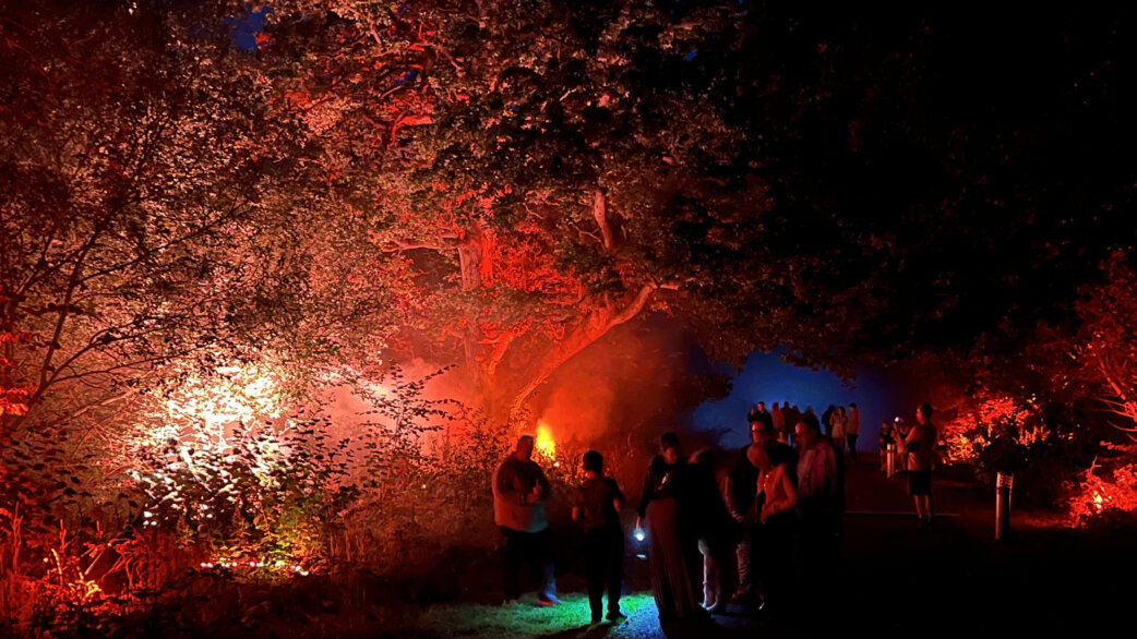 Night-time outdoor installation showing silhouetted visitors beneath large trees illuminated with dramatic red, orange and blue lighting, simulating a forest fire with atmospheric smoke effects.