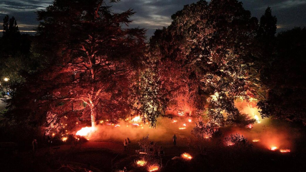 A night-time outdoor installation simulating a forest fire, with orange and red lights illuminating large trees while ground-level flames and smoke create an atmospheric scene.