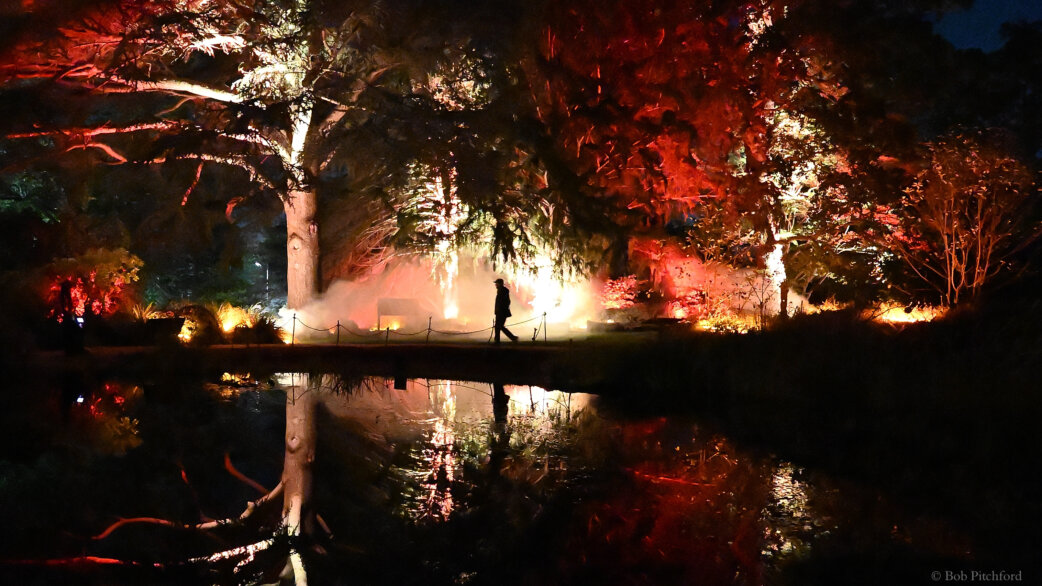 A nighttime art installation simulating a forest fire, with red and orange lights illuminating trees around a reflective pond. A silhouetted figure walks through theatrical smoke and flames.