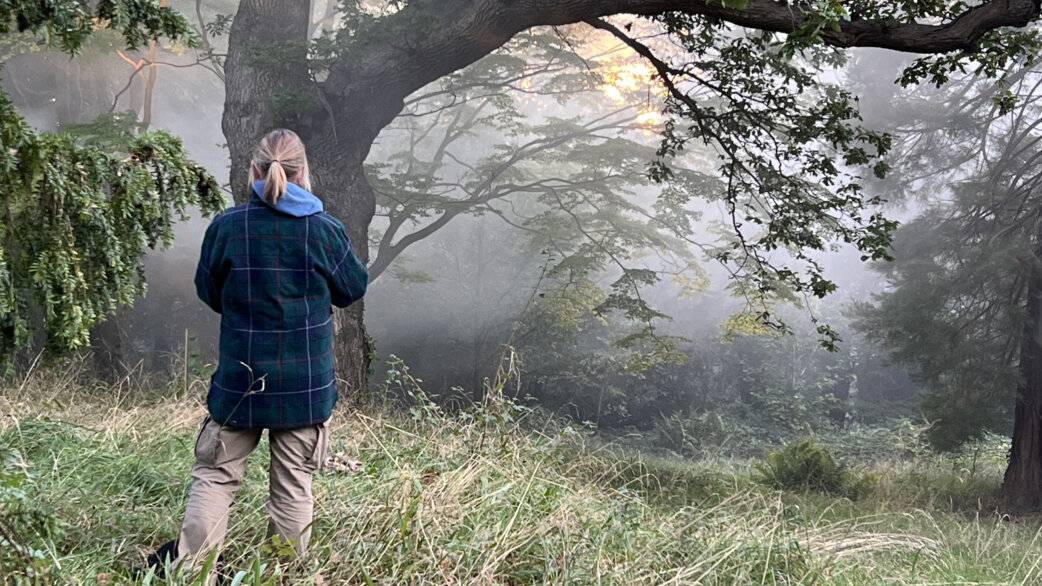 A person in a plaid jacket walks through misty woodland toward atmospheric orange light filtering through trees, simulating the glow of a forest fire in this installation artwork.
