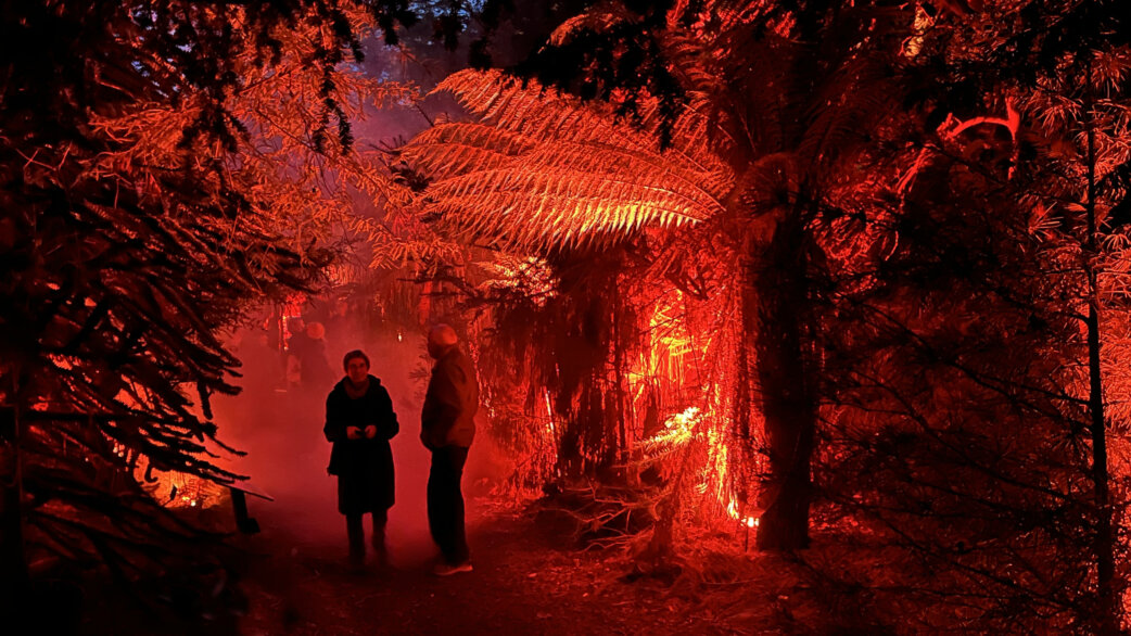 Visitors walk through a forest path bathed in dramatic red and orange lighting with atmospheric smoke, creating the illusion of a forest fire among fern trees and foliage.