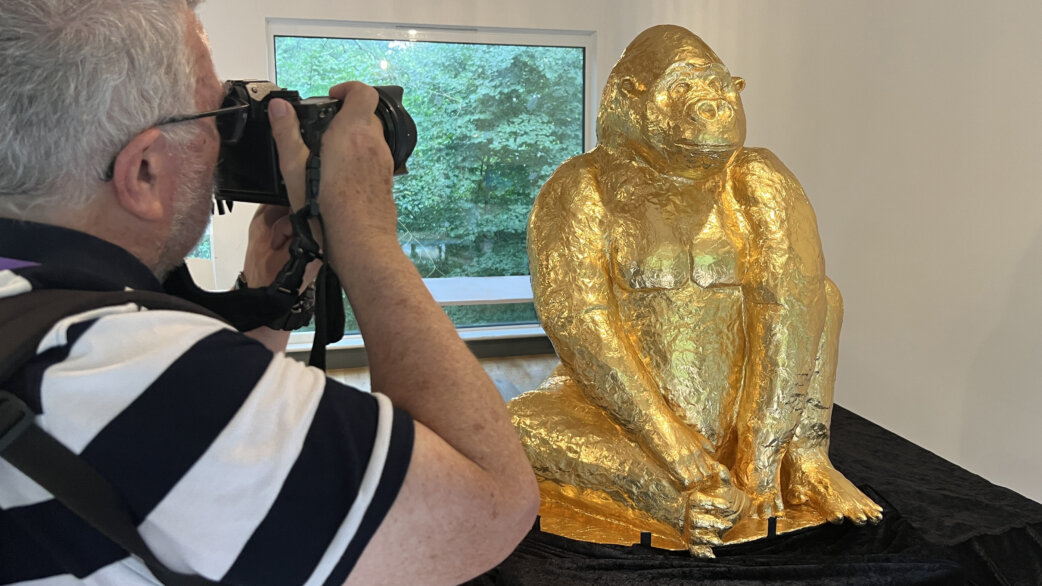A man with grey hair photographs a golden foil-wrapped chocolate gorilla sculpture, approximately 1 metre tall, displayed on a black plinth near a window.